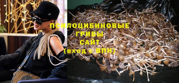 бошки Алексин