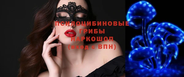 бошки Алексин