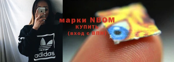 бошки Алексин