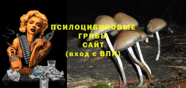 бошки Алексин