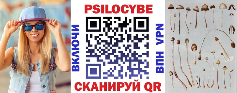 darknet клад Выкса omg рабочий сайт Псилоцибиновые грибы мицелий цена